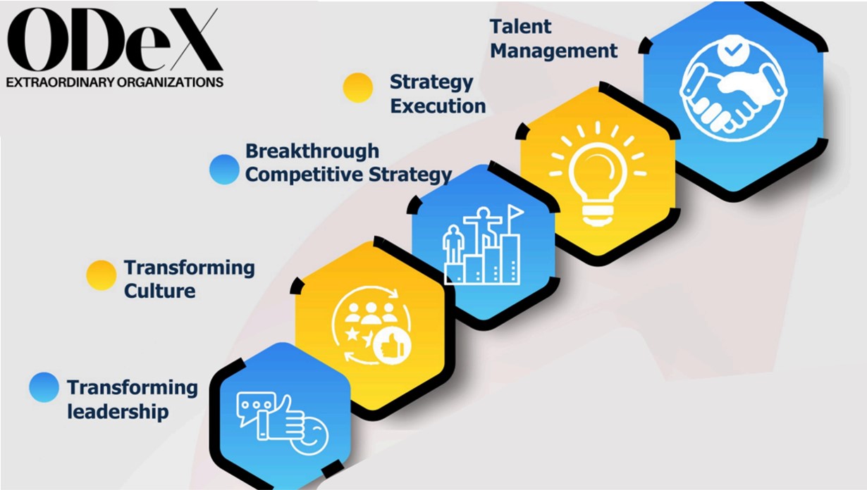 ODeX Extraordinary Organizations transformation pathway